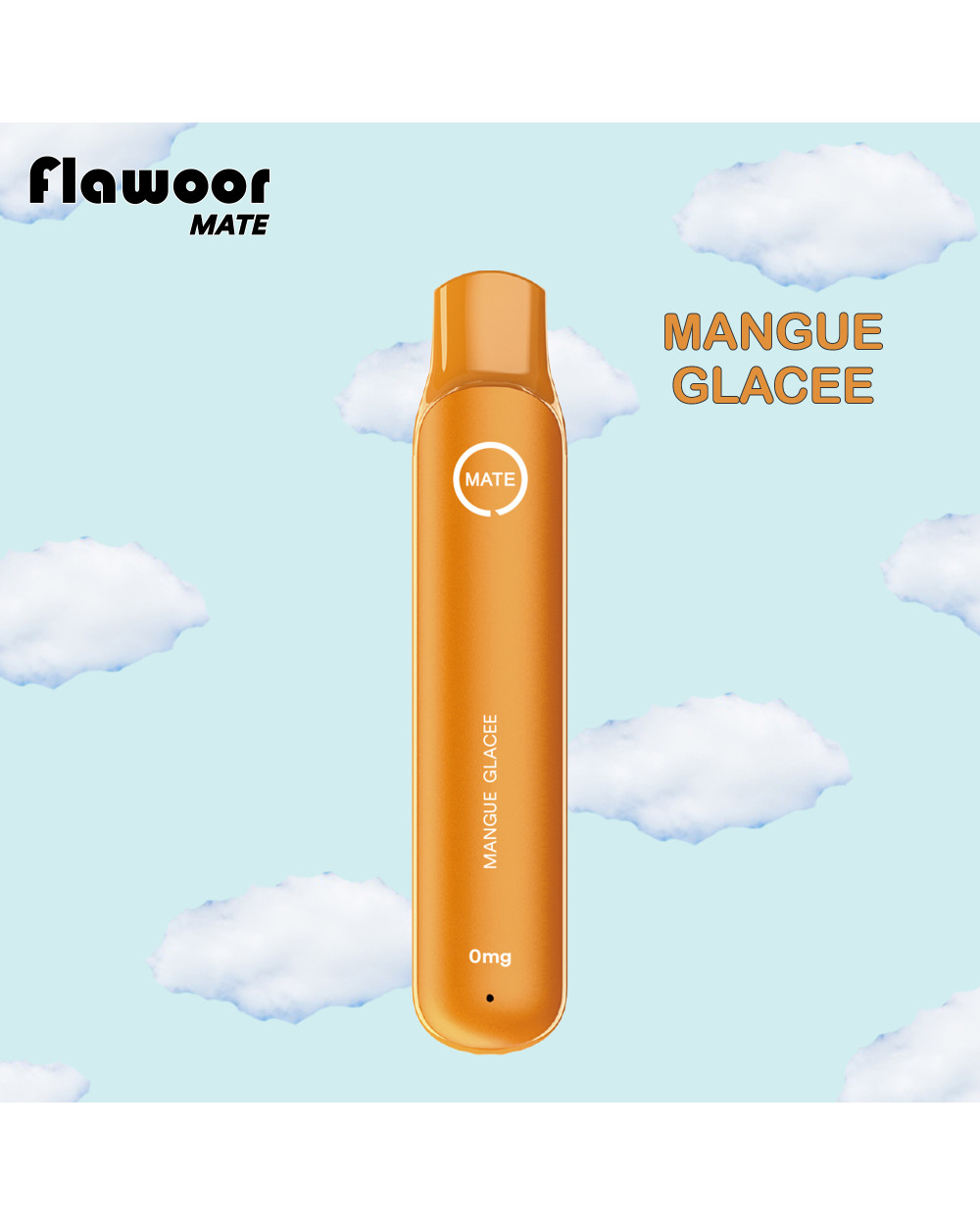 Mangue Glacée - FLAWOOR Mate Déstockage