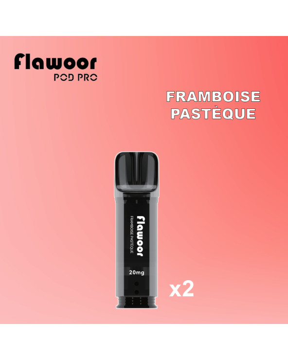 Cartouches Framboise Pastèque / 2pcs - FLAWOOR POD PRO