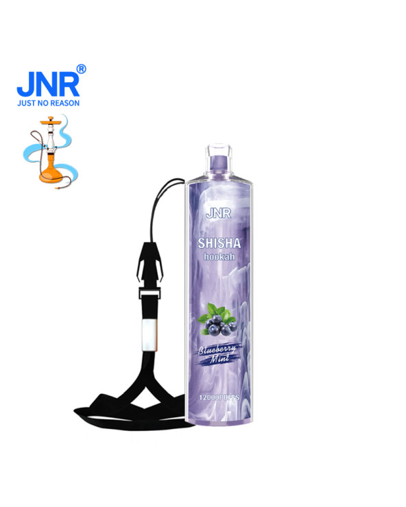 Myrtille Menthe - SHISHA HOOKAH 12 000puffs -JNR