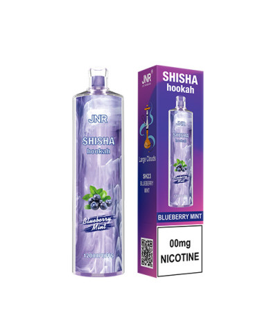 Myrtille Menthe - SHISHA HOOKAH 12 000puffs -JNR