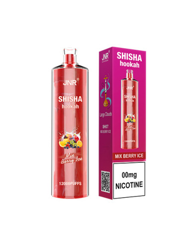 Fruits des Bois Givrés - SHISHA HOOKAH 12 000puffs -JNR