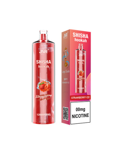 Fraise Givrée - SHISHA HOOKAH 12 000puffs -JNR