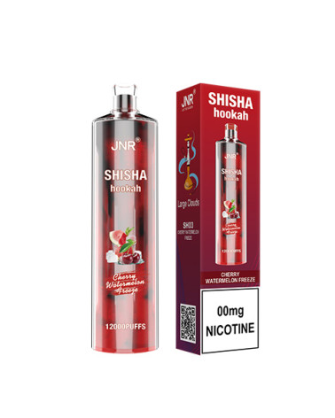 Cerise Pastèque Givrée  - SHISHA HOOKAH 12 000puffs -JNR