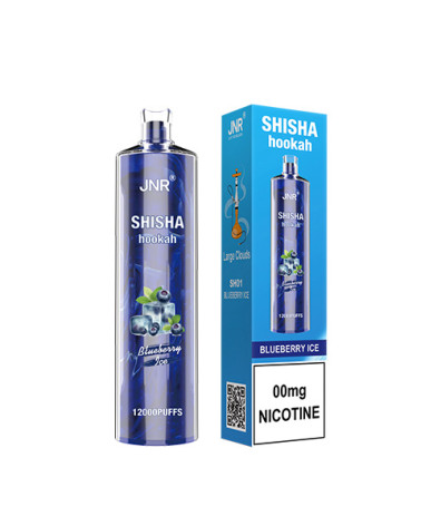 Blueberry Ice  - SHISHA HOOKAH 12 000puffs -JNR