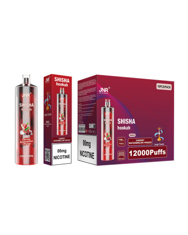 CHERRY WATERMELON FREEZE - PACK DE 10 -SHISHA HOOKAH 12 000puffs -JNR