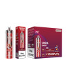 CHERRY WATERMELON FREEZE - PACK DE 10 -SHISHA HOOKAH 12 000puffs -JNR