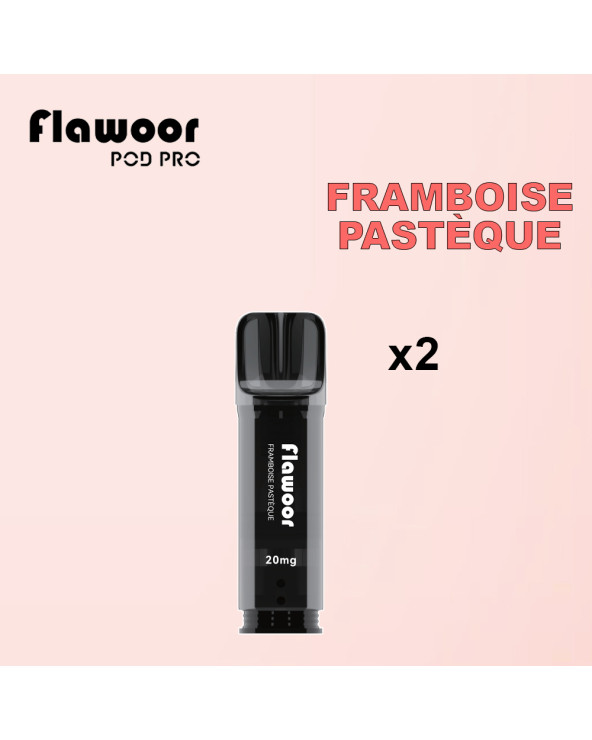 Cartouches Framboise Pastèque / Lot de 2 - FLAWOOR POD PRO