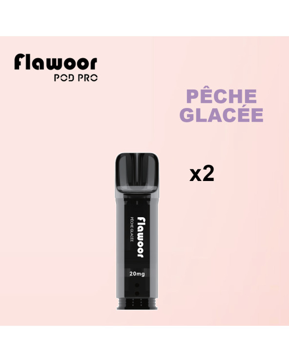 Cartouches Pêche Glacée / Lot de 2 - FLAWOOR POD PRO