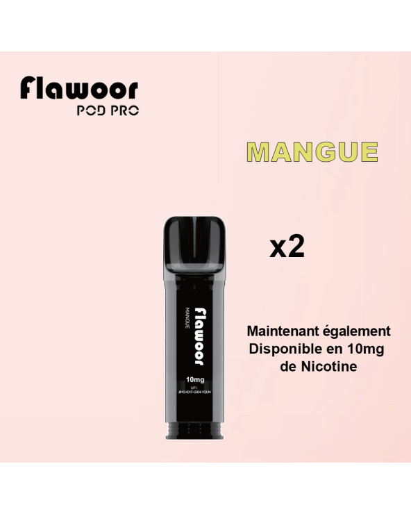 Cartouches Mangue / Lot de 2 - FLAWOOR POD PRO