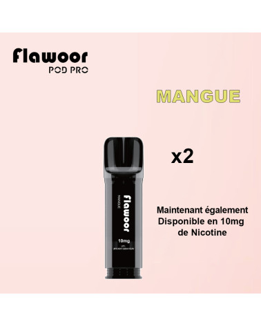 Cartouches Mangue / Lot de 2 - FLAWOOR POD PRO