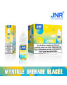 Blueberry Pomegranate Ice - JNR E-Liquides