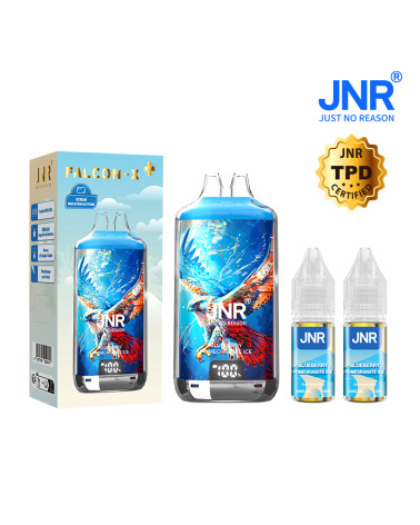 Blueberry Pomegranate Ice 28000 puffs- FALCON X + JNR