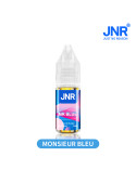 Mr Blue - PUFF JNR E-Liquides