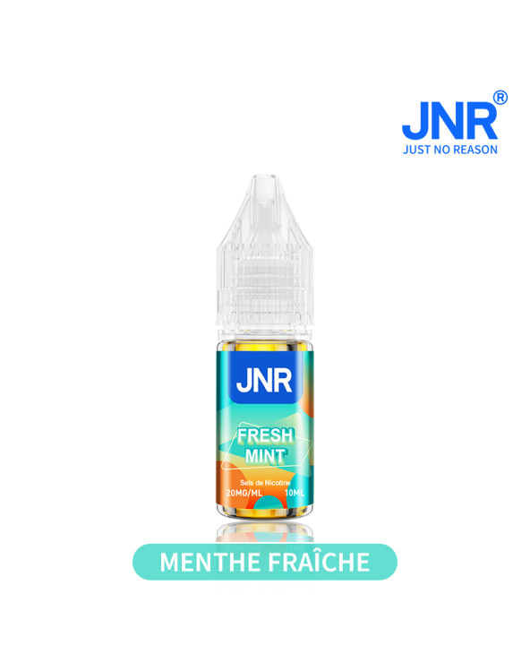 PUFF JNR e-Liquide - Menthe Fraîche