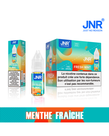 PUFF JNR e-Liquide - Menthe Fraîche