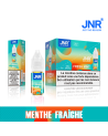 PUFF JNR e-Liquide - Menthe Fraîche