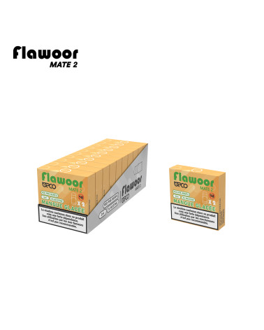 Cartouches Mangue Glacée / 2pcs - FLAWOOR MATE 2