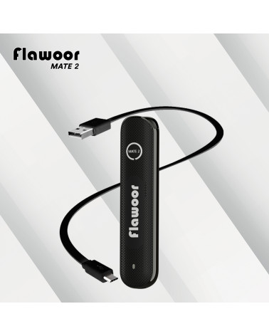 Batterie Noire + Câble de Charge - FLAWOOR MATE 2