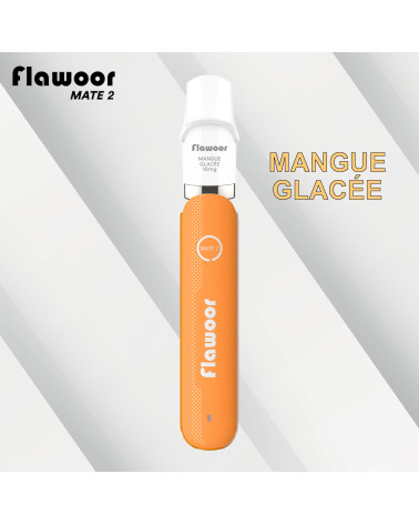 FLAWOOR MATE 2 : Puff Rechargeable en saveurs et batterie