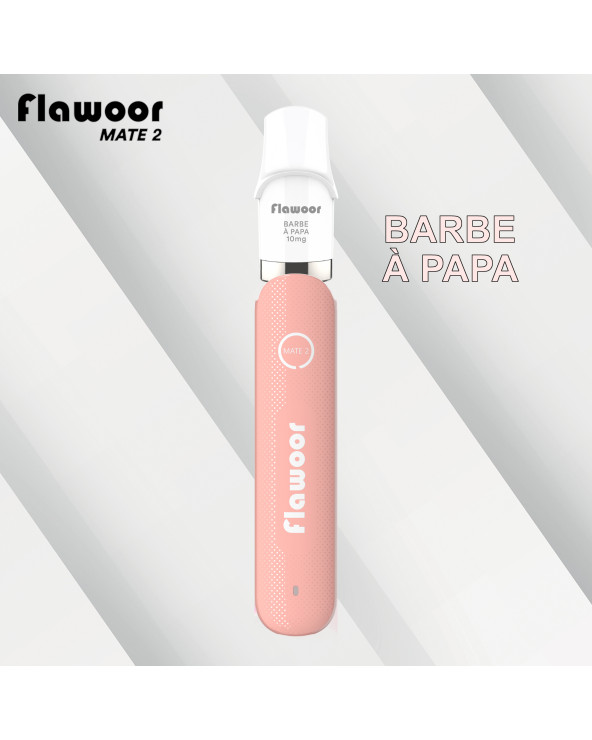 Kit Barbe à Papa - FLAWOOR MATE 2