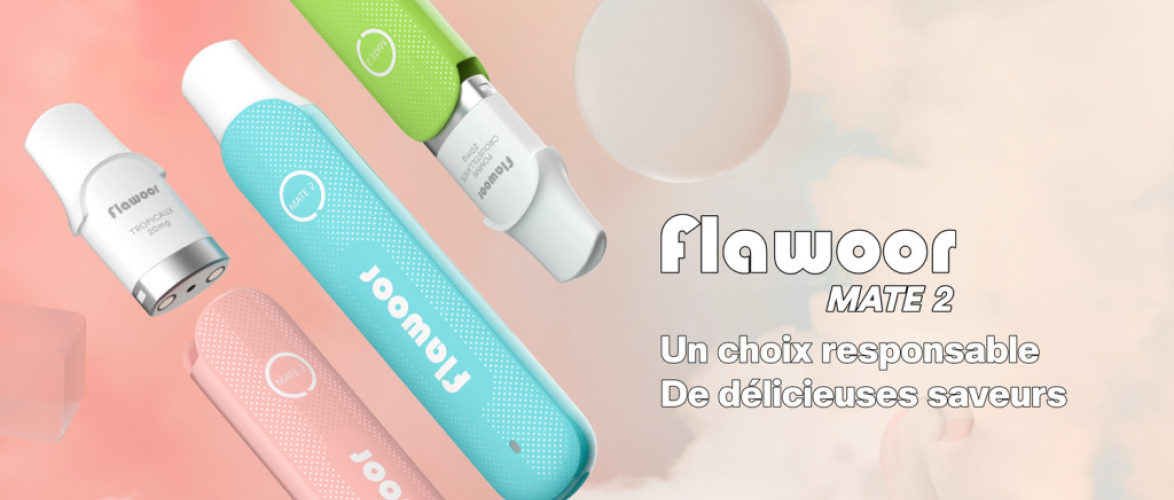 FLAWOOR MATE 2